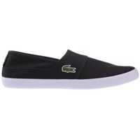 Tenisi & Adidasi Lacoste Maricle