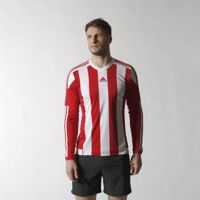 Bluze Trening & Hanorace STRIPED15 JSY L Barbati