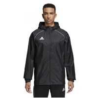 Bluze Trening & Hanorace CORE18 RN JKT Barbati