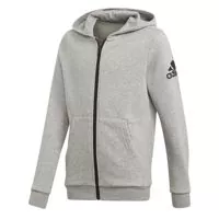 Bluze Trening & Hanorace YB LOGO FZ HOOD Baieti