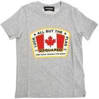 Tricouri Grey Luck All But The Flag T-Shirt Baieti