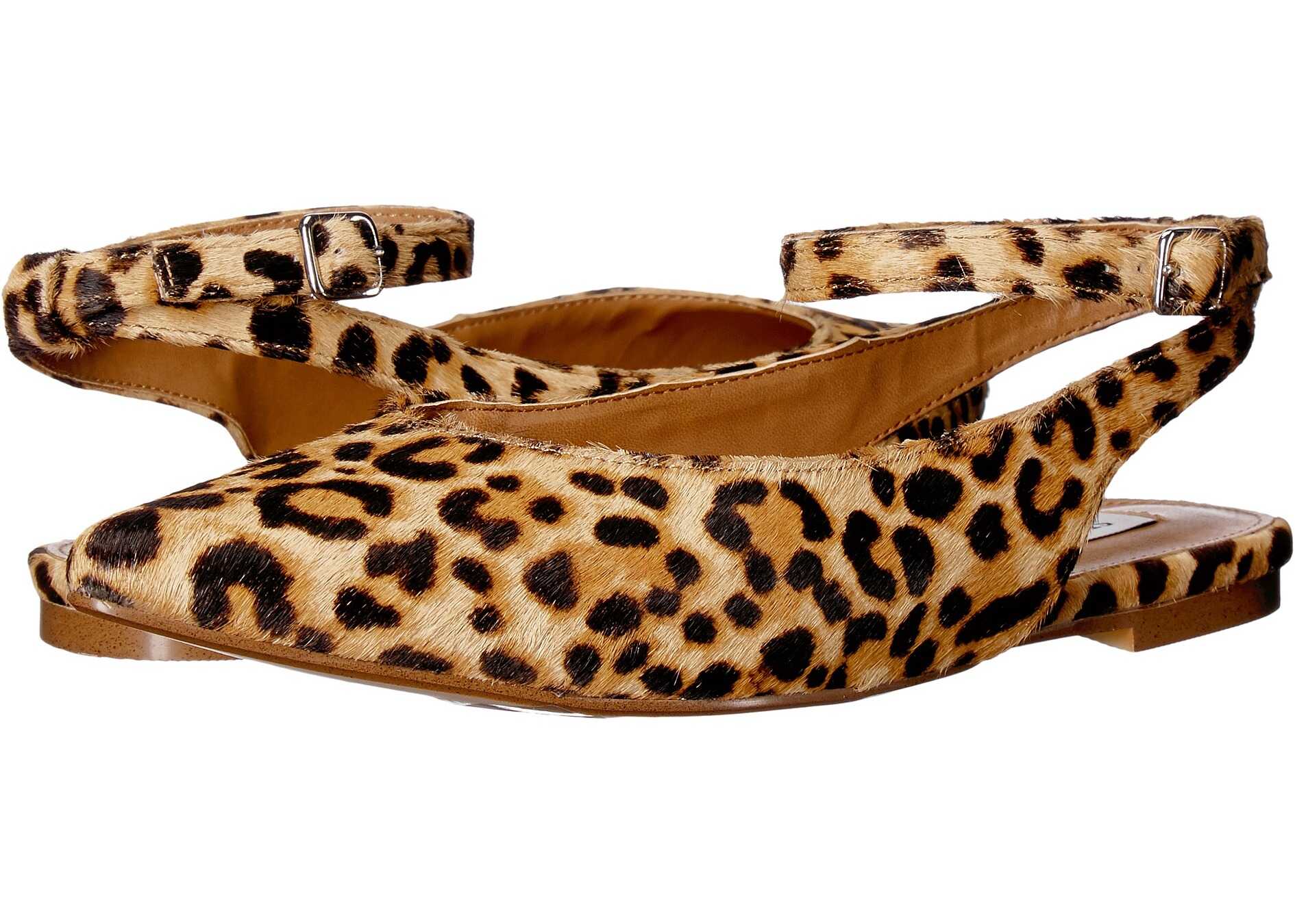 Balerin Steve Madden Cupid Leopard