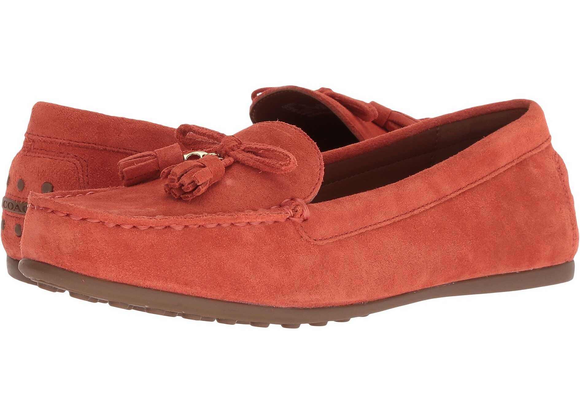 Mocasin COACH Greenwich Driver w/ Tassel Mandarin Suede
