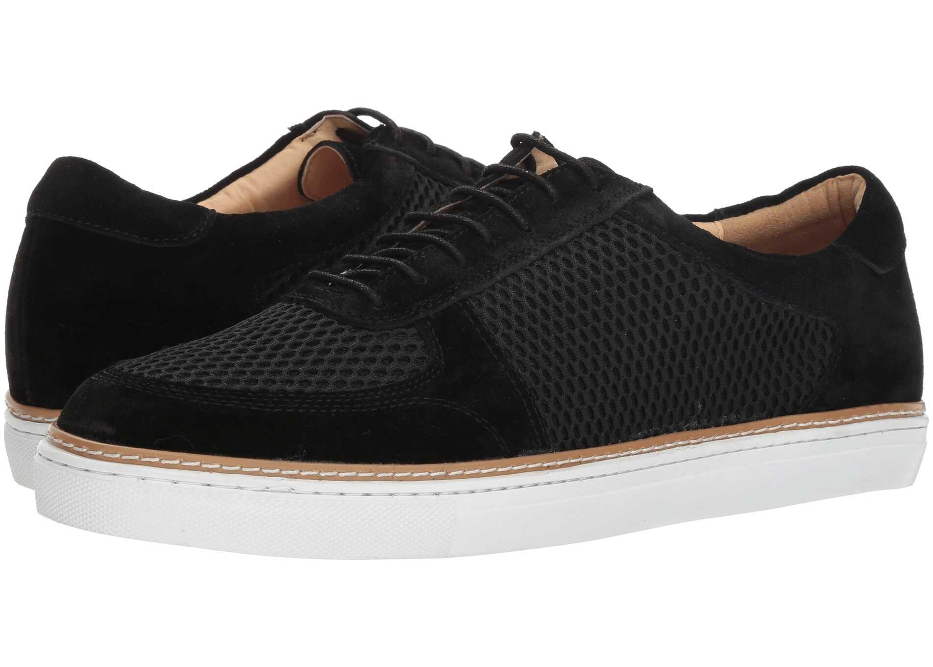 Tenis English Laundry Landseer Black