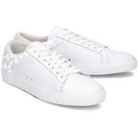 Tenisi & Adidasi ASH Dazed