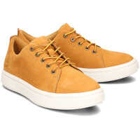 Sneakers Timberland Londyn Simple Oxford Wheat