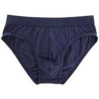 Lenjerie Intima "midi Brief" Blue Slip Barbati