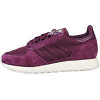 Tenisi & Adidasi Forest Grove W Trainers In Purple Femei