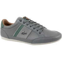 Tenisi & Adidasi Lacoste Chaymon 417