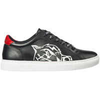 Sneakers Shoes Trainers Sneakers Lo-Top Tiger Barbati