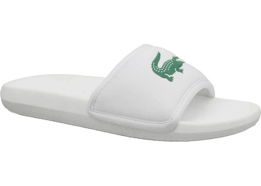 Croco Slide 119 3
