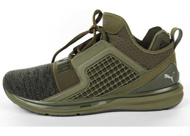 Puma ignite limitless online