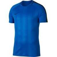 Topuri sport Dri Fit Academy 924694 Barbati