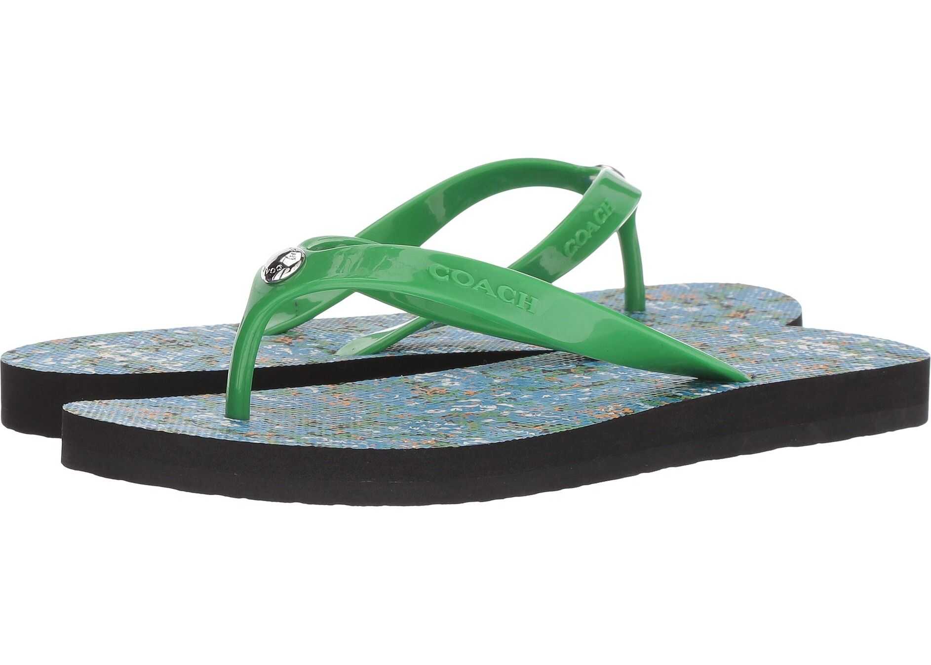 COACH Flip-Flop Black/Blue Floral Rubber