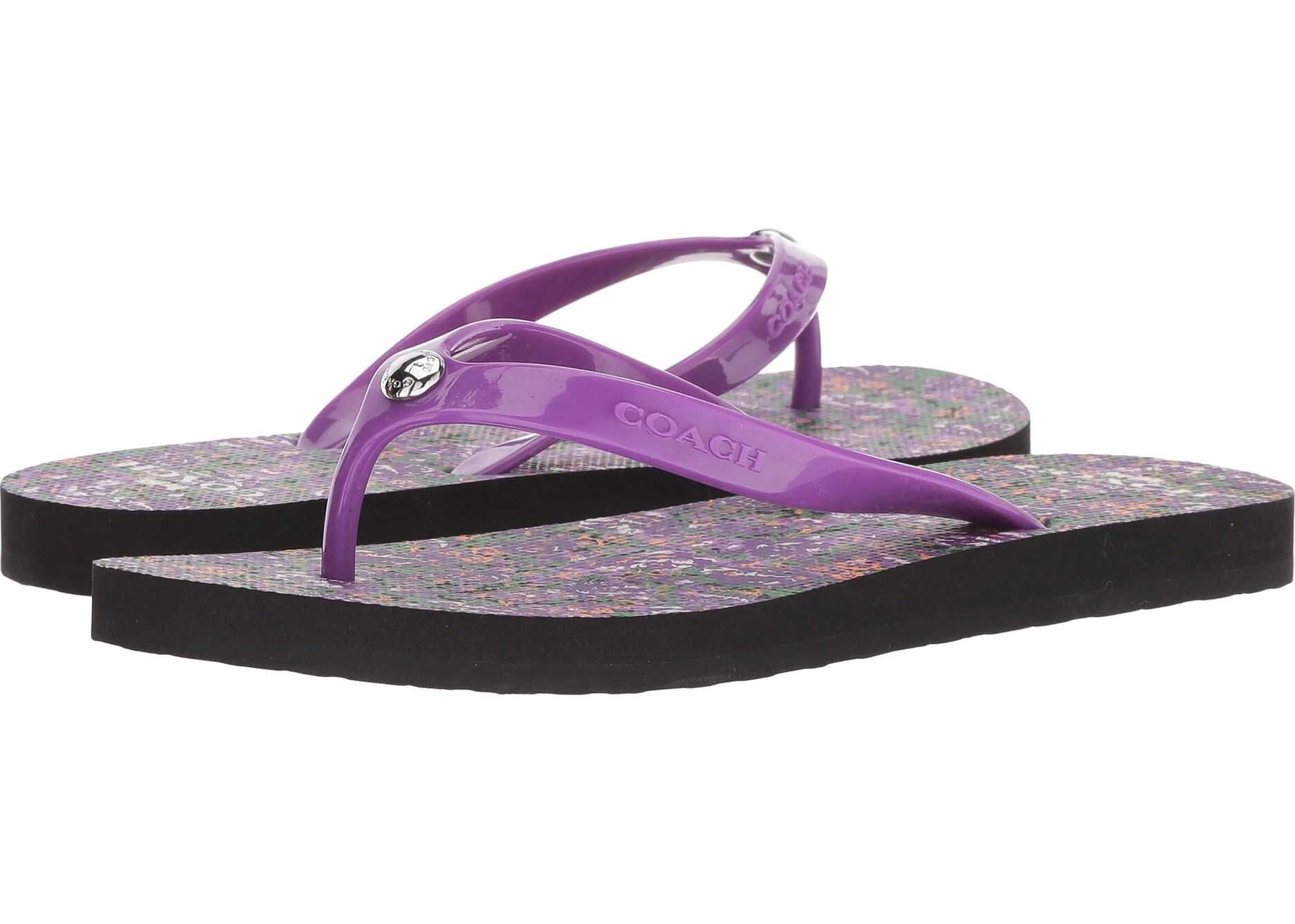 COACH Flip-Flop Black/Purple Floral Rubber