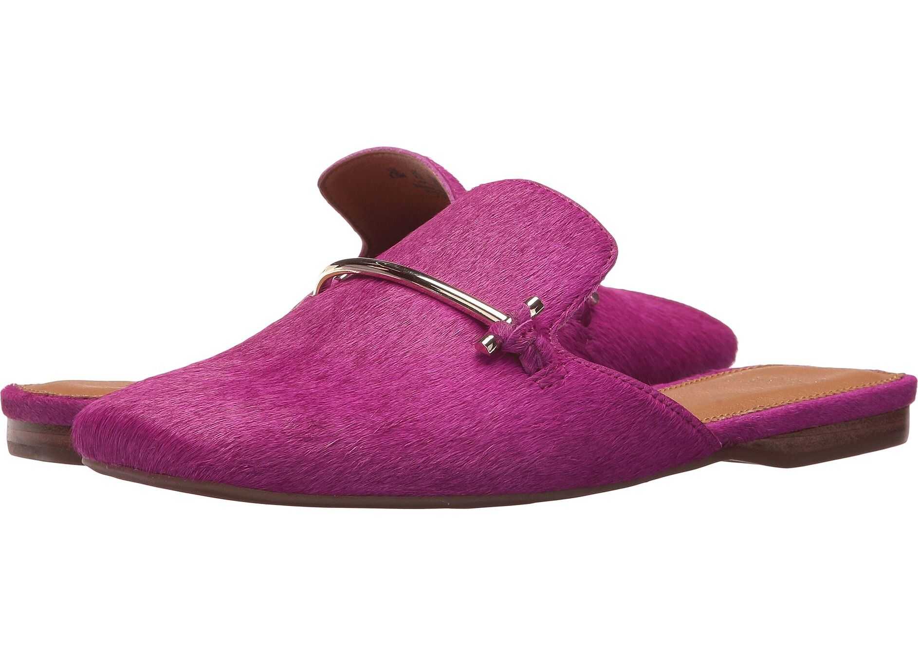 Franco Sarto Venna by SARTO Wild Violet