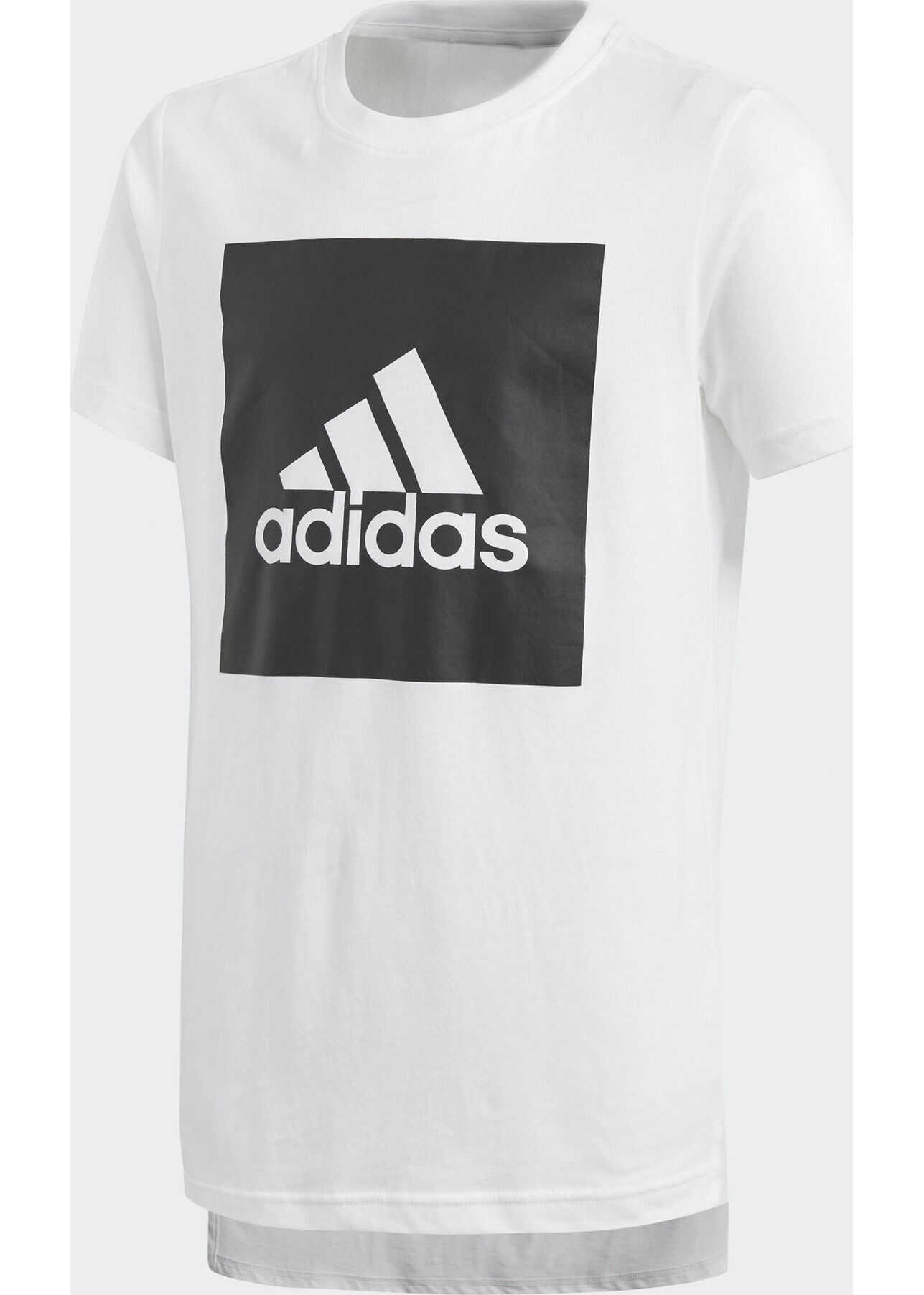YB LOGO TEE 2