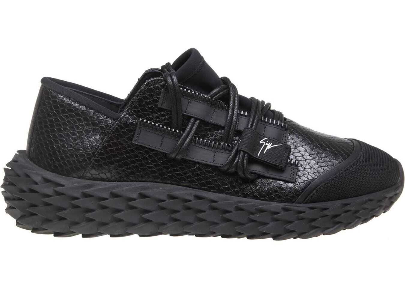 Giuseppe Zanotti Urchin Sneakers In Black Black