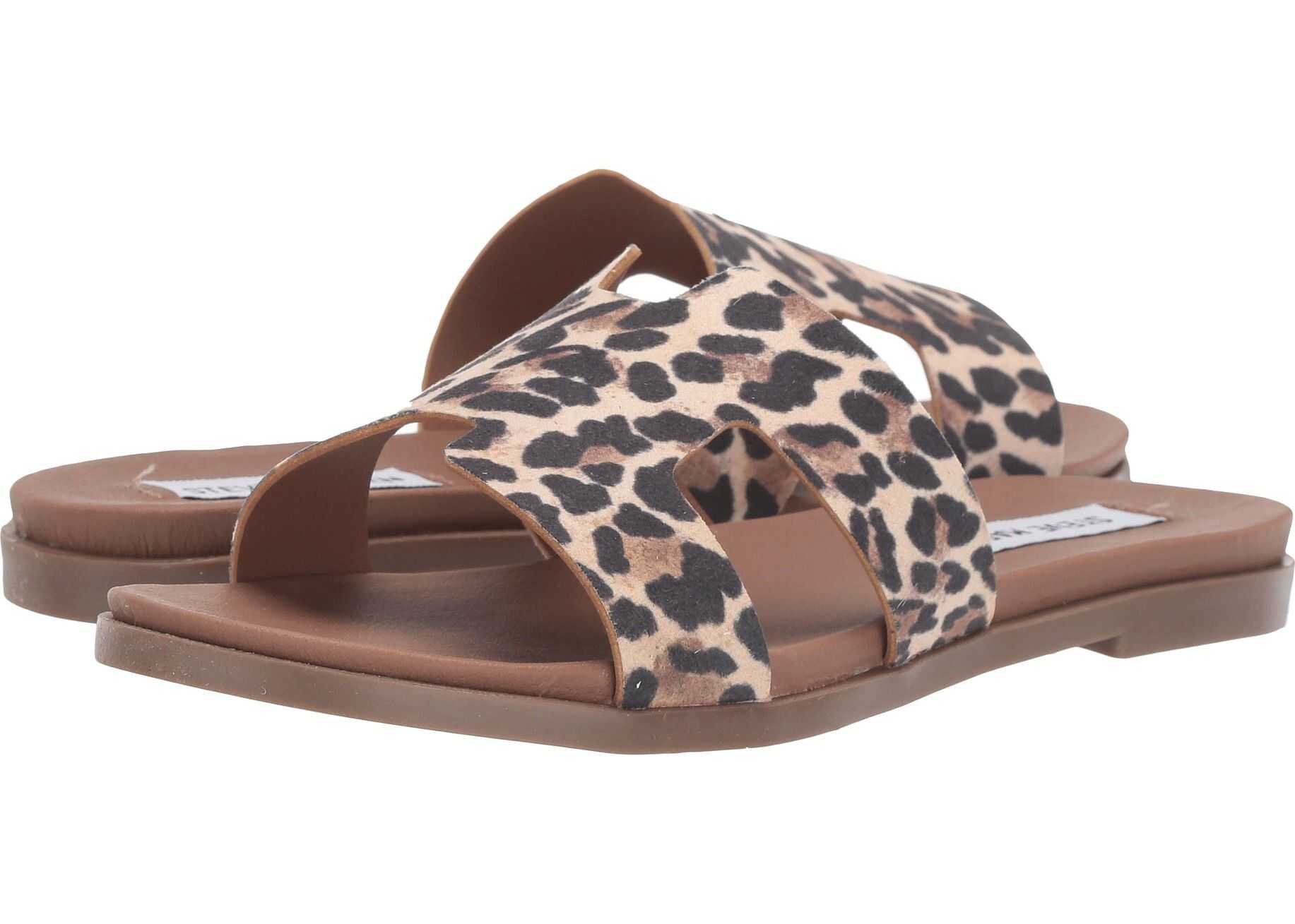Steve Madden Harriet Flat Sandal Leopard