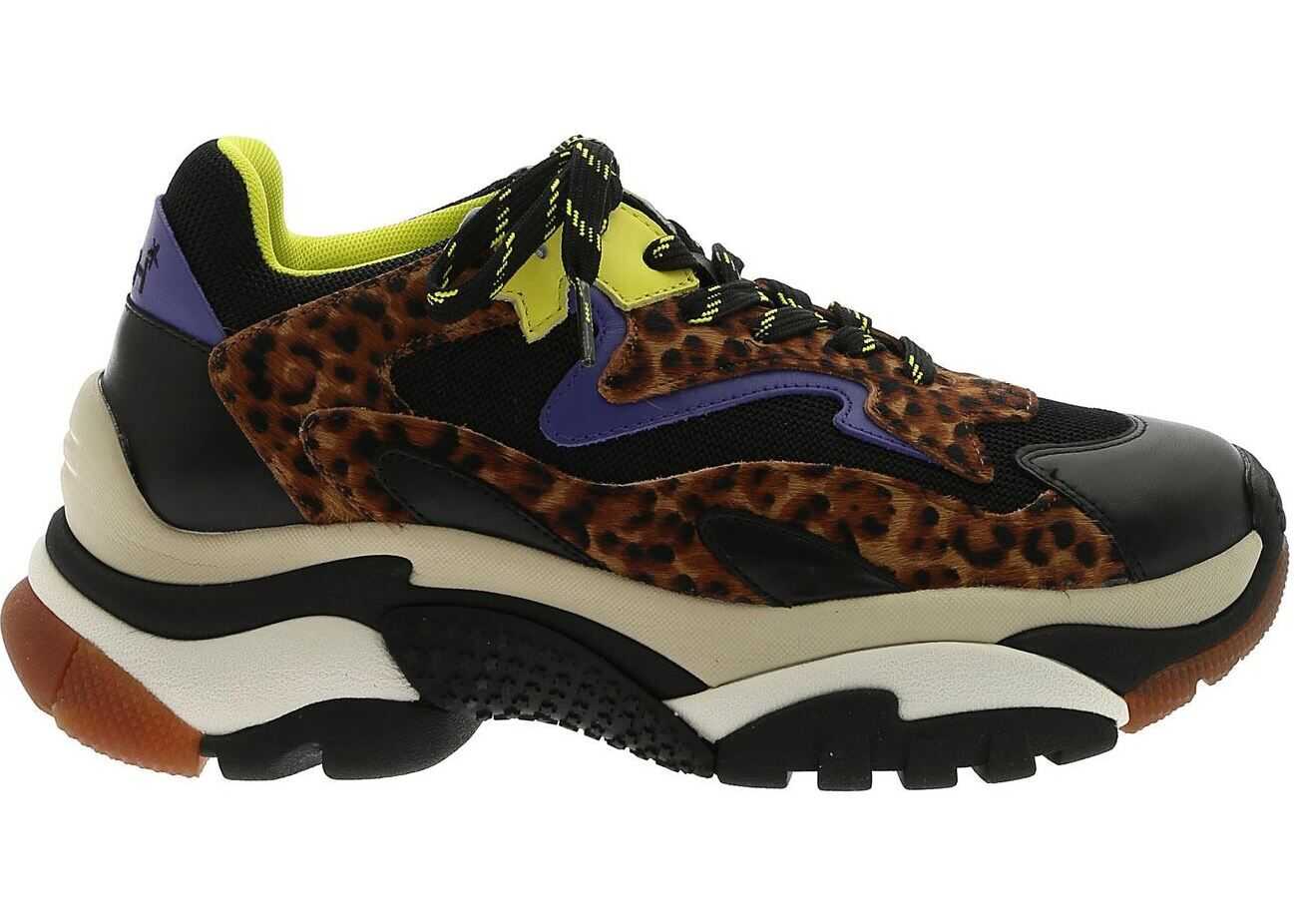 ASH Addict Sneakers Animal Print Black