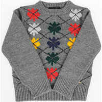 Pulovere casual Embroidered Sweat Baieti