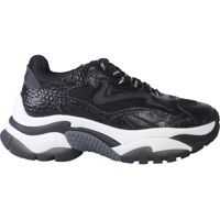 Sneakers Addict Sneaker Femei