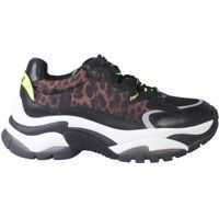 Sneakers ASH Addiction Sneaker