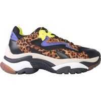 Sneakers Addict Sneaker Femei