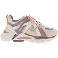 Sneakers ASH Flash Leather Sneakers In Beige And Grey