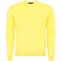 Pulovere casual Brushed Wool Pullover Barbati