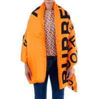 Esarfe Silk Scarf Horseferry Femei