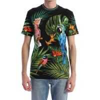 Tricouri Dolce & Gabbana T-Shirt Parrot Print