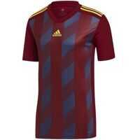 Tricouri DP3203 Baieti