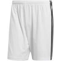 Pantaloni scurti CF0711 Barbati