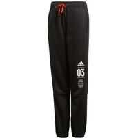 Pantaloni de trening DV1696 Baieti