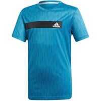 Topuri sport DV1362 Baieti