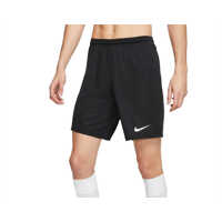 Pantaloni scurti Park III Shorts Barbati