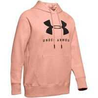 Bluze de trening Under Armour Rival Fleece Graphic Hoodie