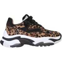 Sneakers ASH "Addict" Sneakers