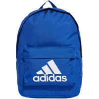 Rucsacuri adidas Classic Big Logo Backpack Barbati