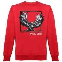 Pulovere Roberto Cavalli Roberto Cavalli Pullover HST645A