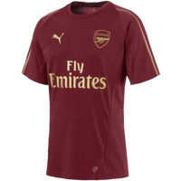Tricouri PUMA Arsenal FC Training Tee
