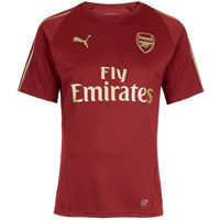 Tricouri PUMA Arsenal FC Training Jr Tee