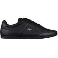 Sneakers Lacoste Chaymon