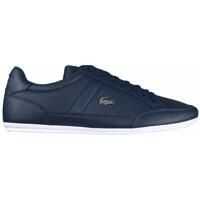 Sneakers Lacoste Chaymon Bl