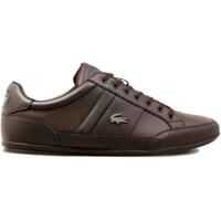 Sneakers Lacoste Chaymon Bl