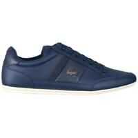 Sneakers Lacoste Chaymon