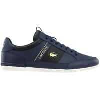 Sneakers Lacoste Chaymon