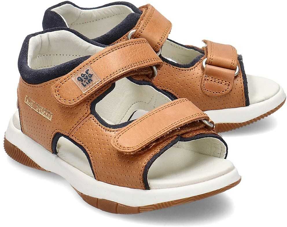 202453