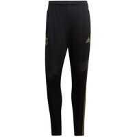 Pantaloni de trening DX7847* Barbati